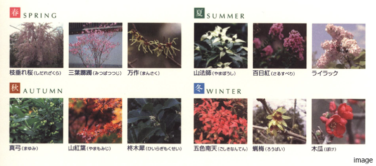 植栽イメージ｜小石川ザ・レジデンス